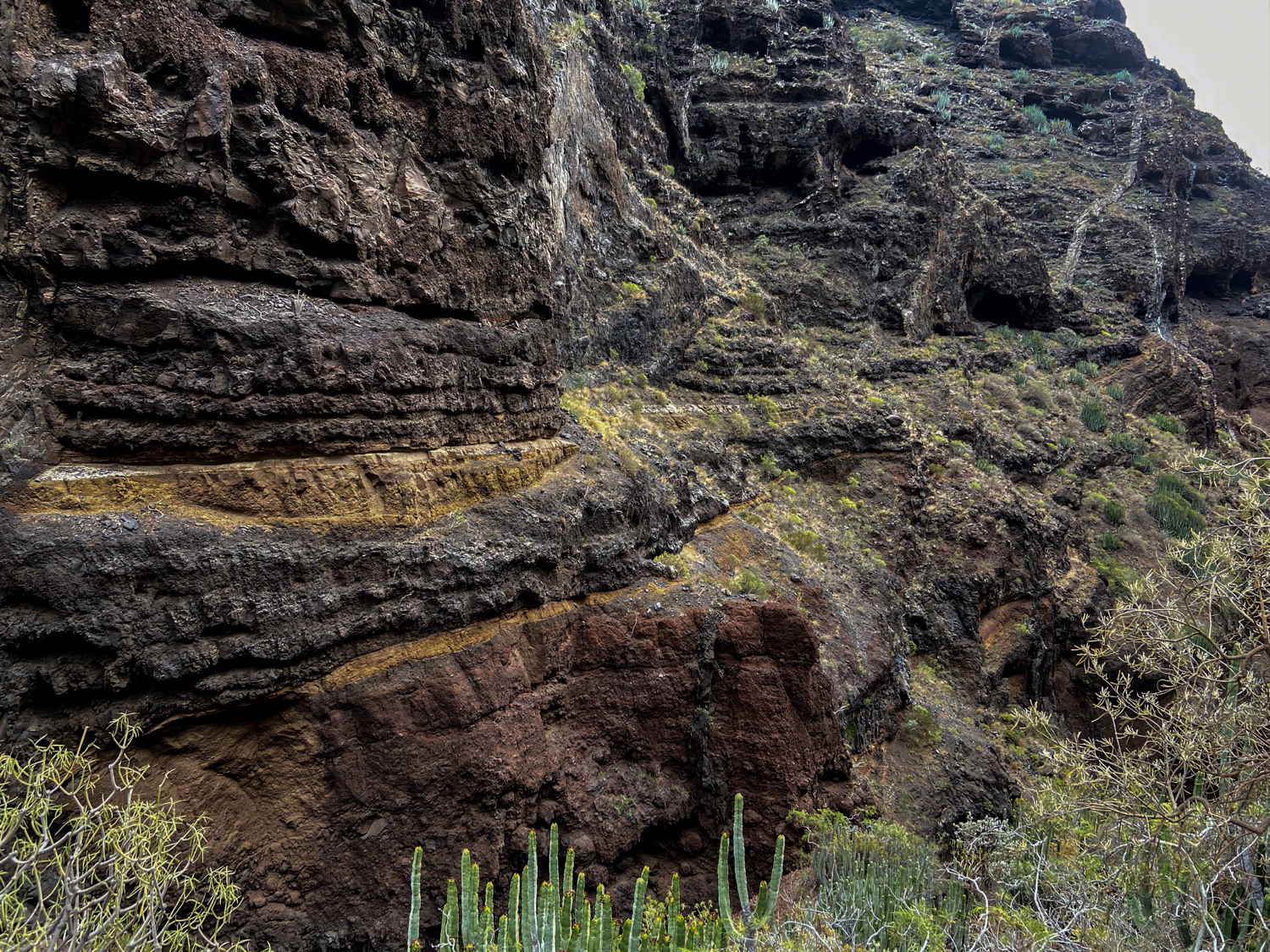 der Barranco Seco