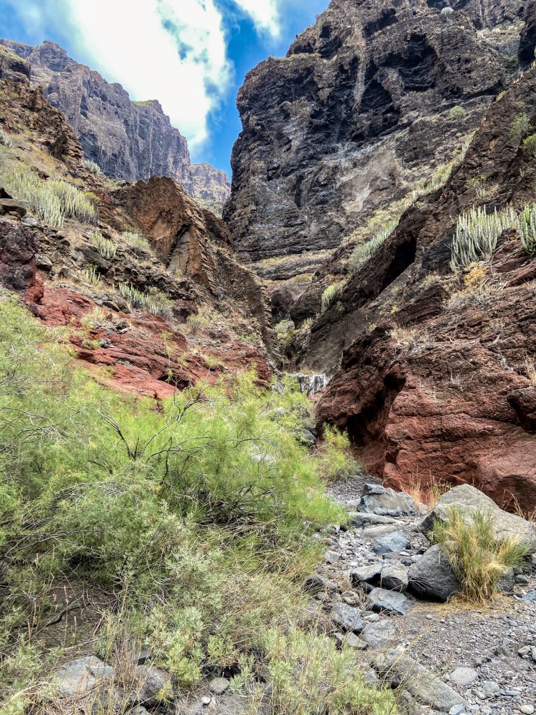 in the lower section of the Barranco Natero