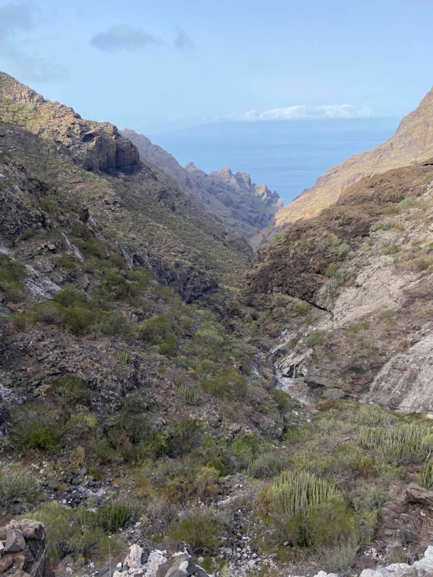 Blick in den Barranco Natero