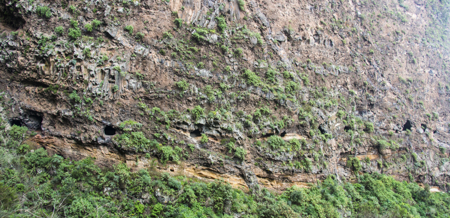 Ventanas de Güímar