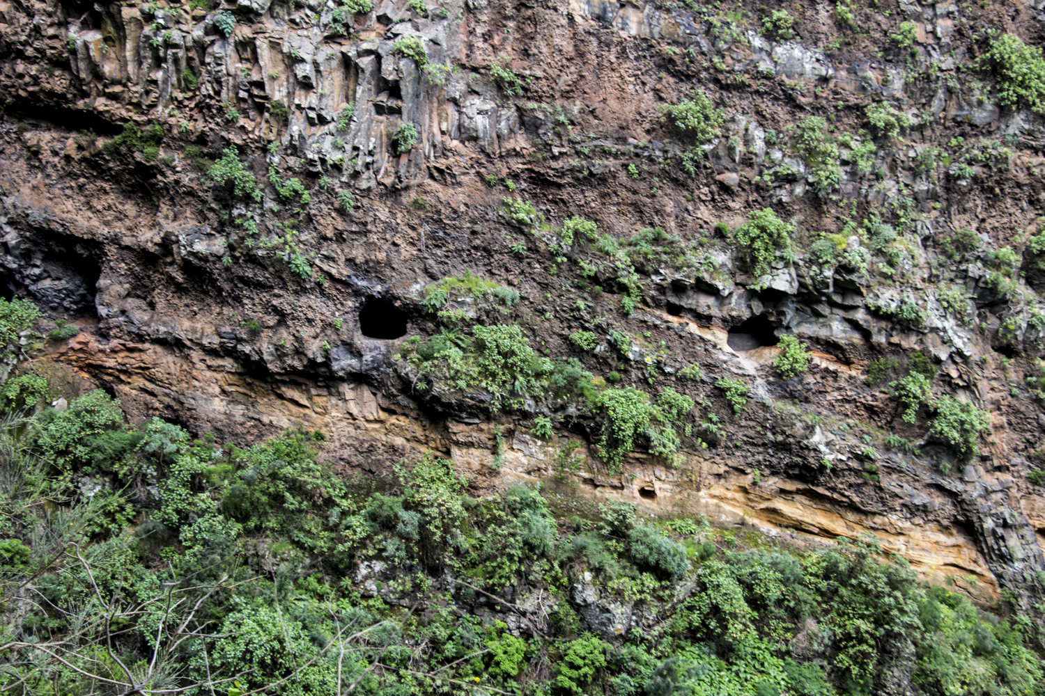 Ventanas de Güímar