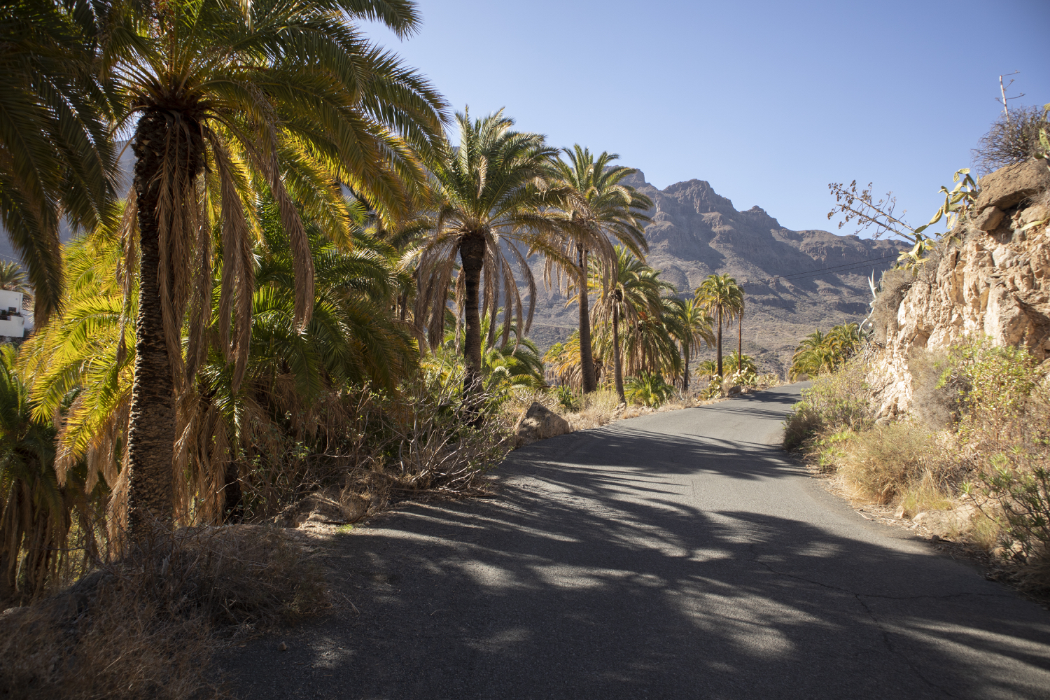 Straße Wanderweg Santa Lucia