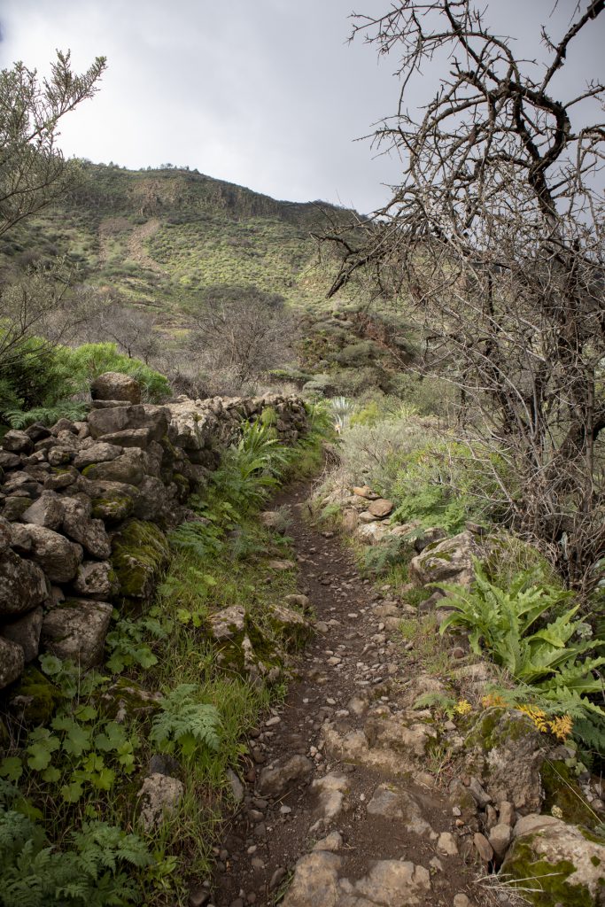 Hiking trail Barranco de Guayadeque