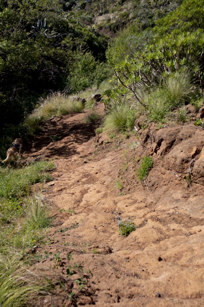 hiking path Valle Brosque