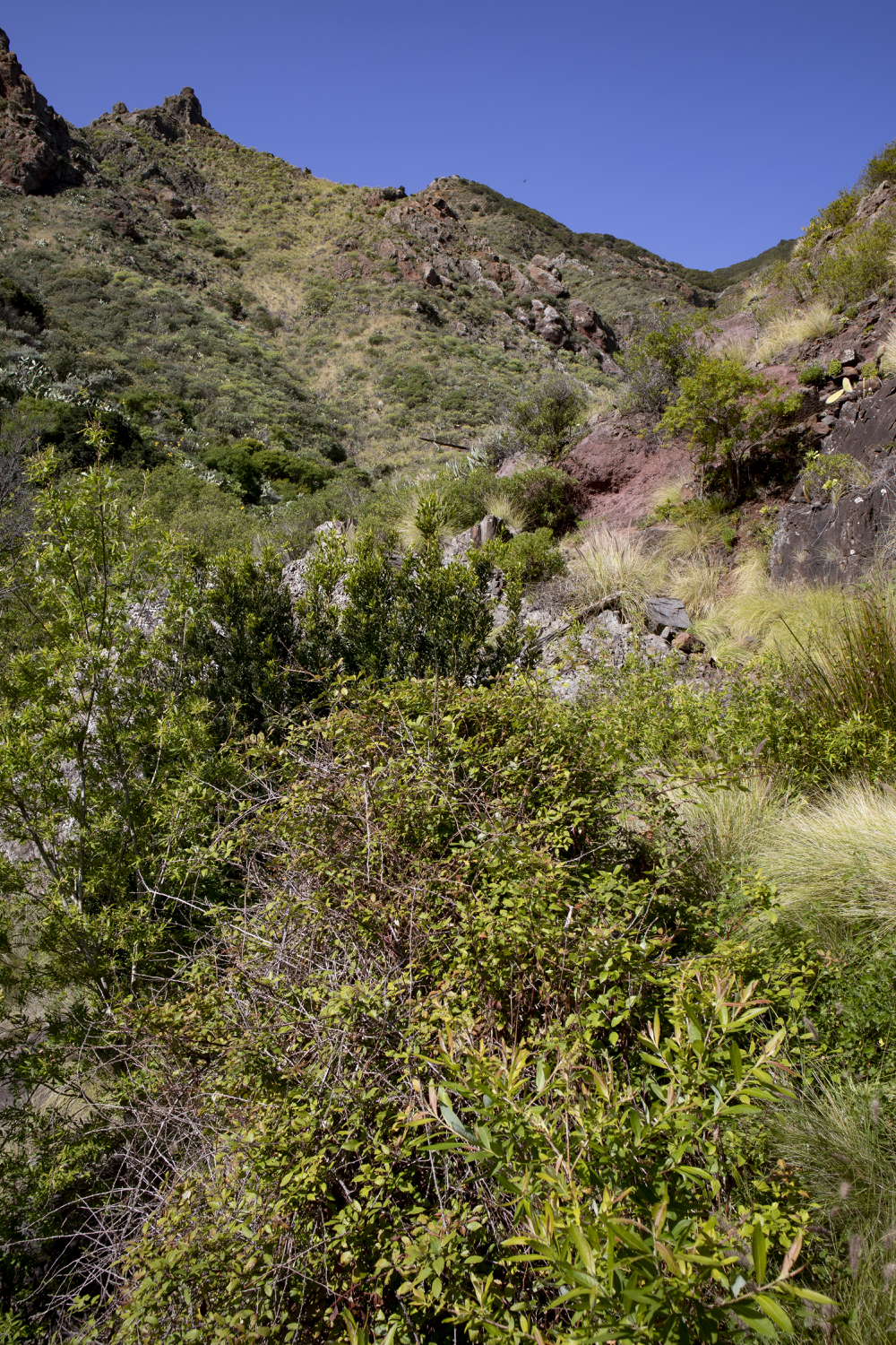 Wanderweg Valle Brosque