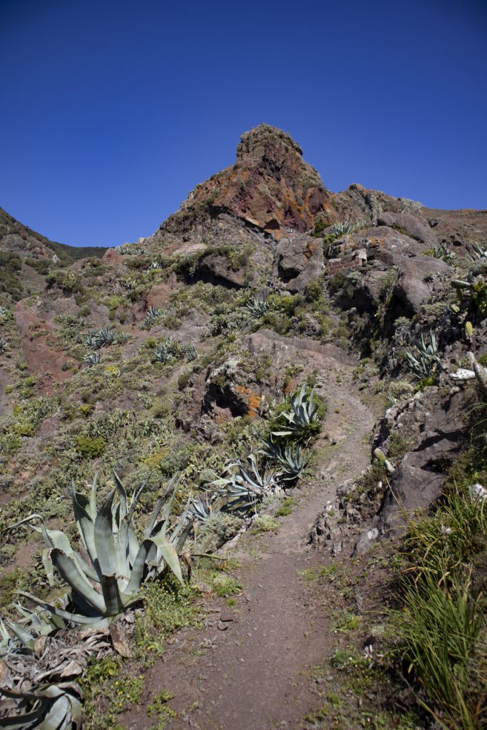 path up from Valle Brosque (El Pelóton)