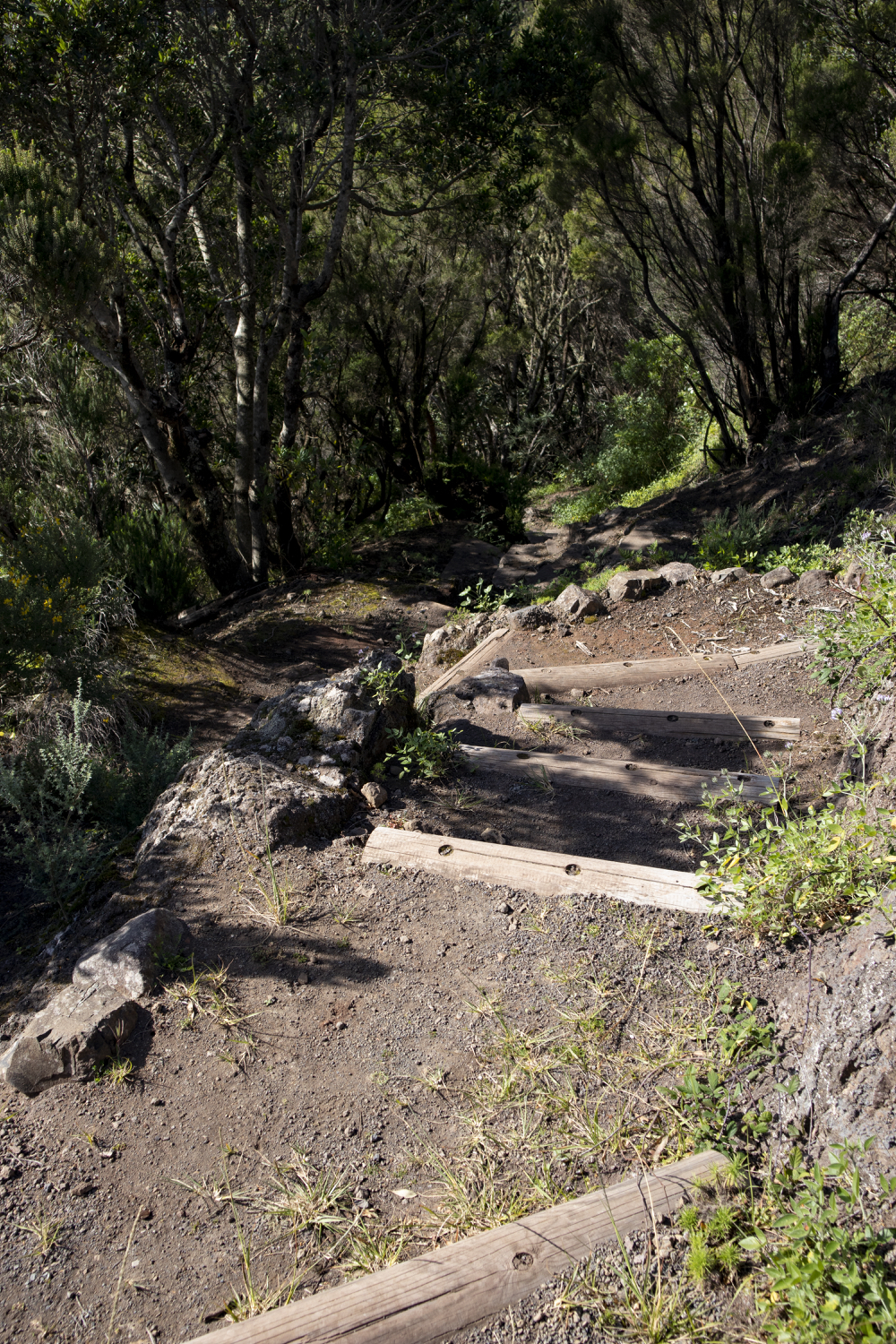 befestigter Wanderweg Valle Brosque
