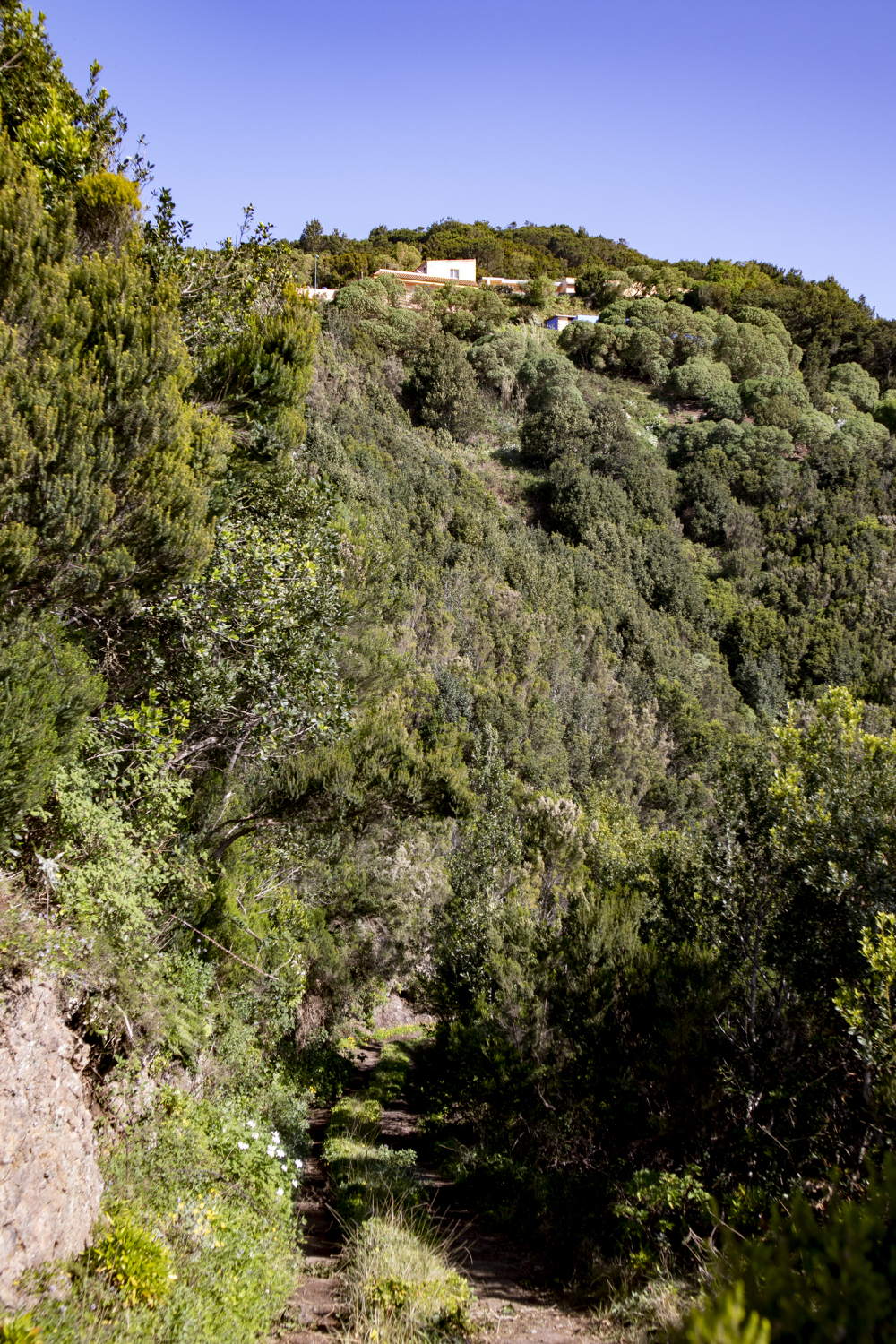Blick zurück auf die Casas de la Cumbre