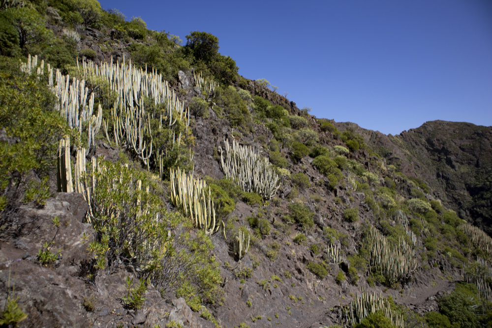 Wanderweg Valle Brosque