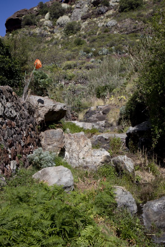 Barranco ground with water