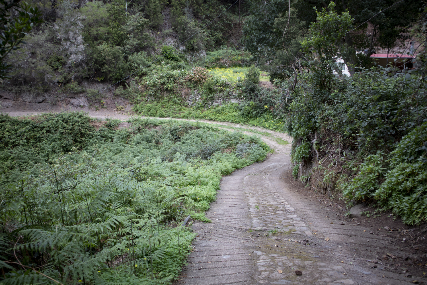 Wanderweg vorbei an einsamen Gehöften