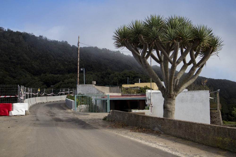 Anaga Höhenstraße bei El Bailadero