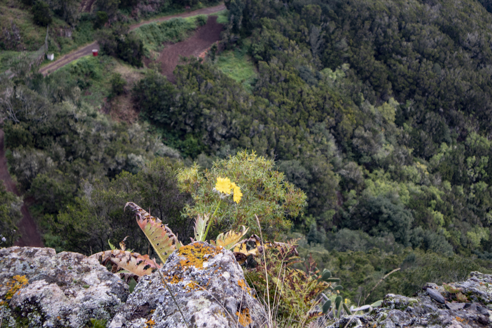 Blick vom Wanderweg hinunter in die Wälder um Taganana