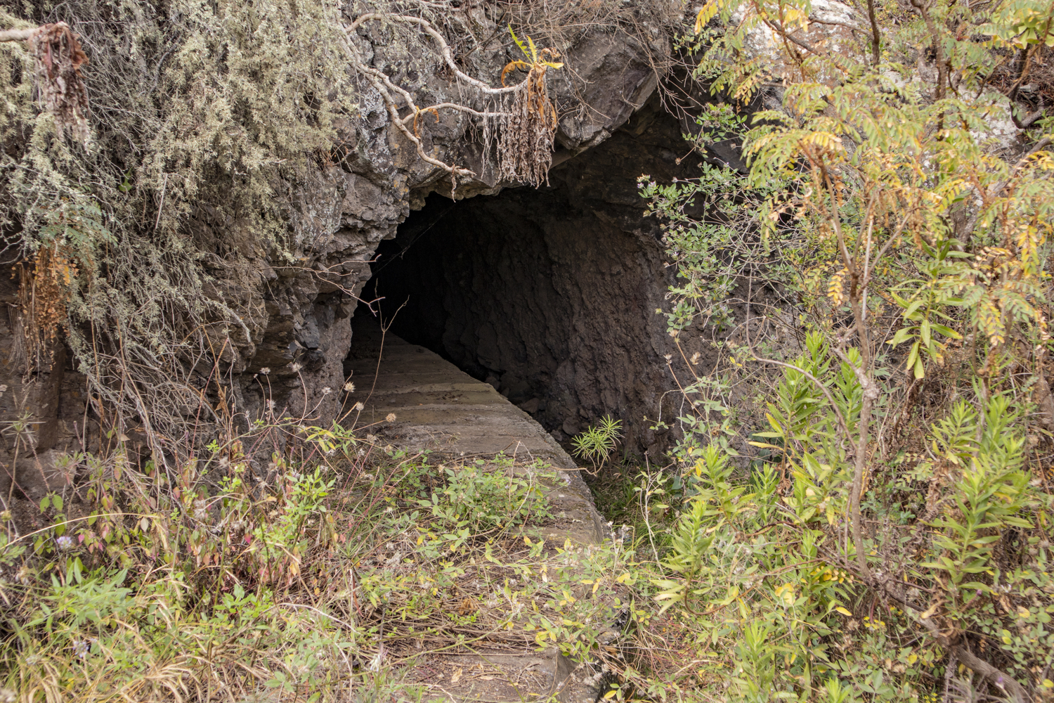 Kanalweg Ende
