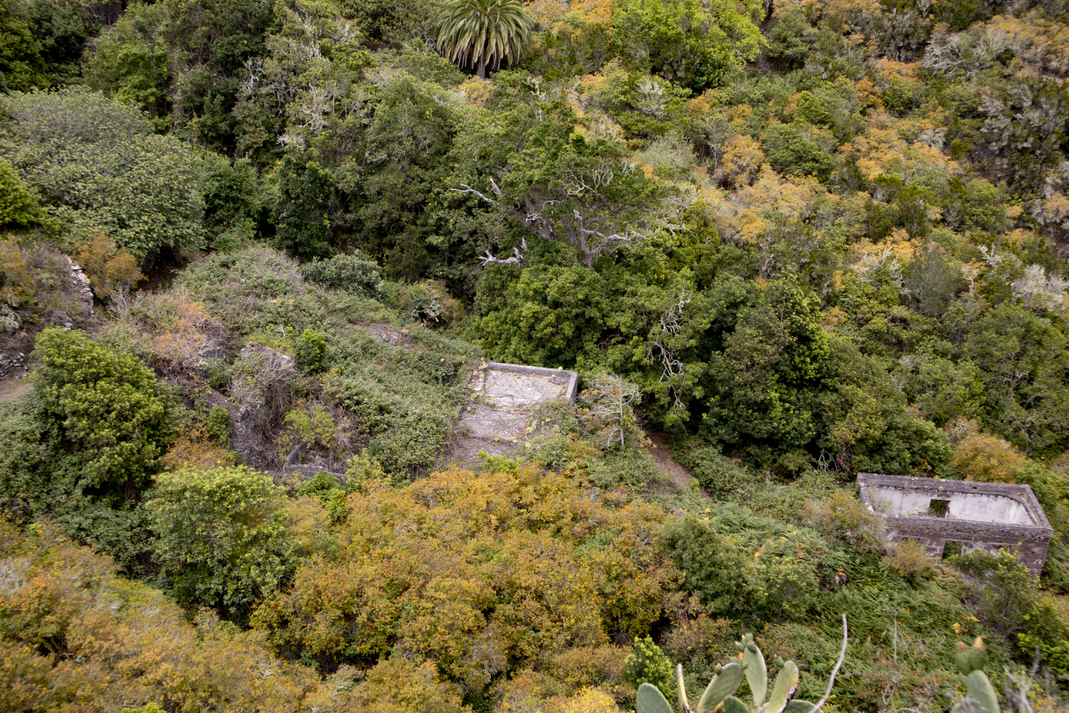 Blick von oben auf die Ruinen von Cuevas Negras