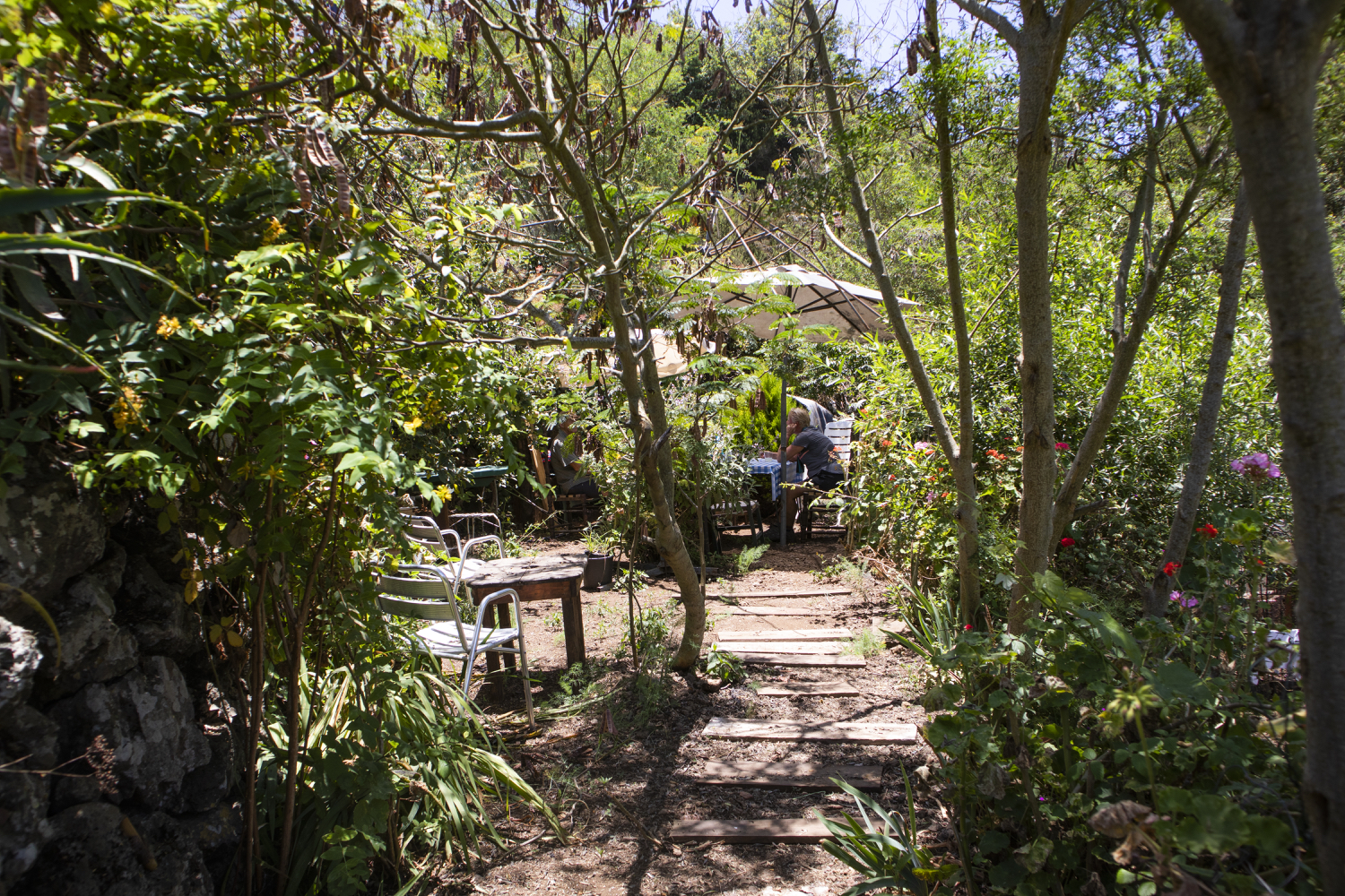 Café in the countryside near Erjos