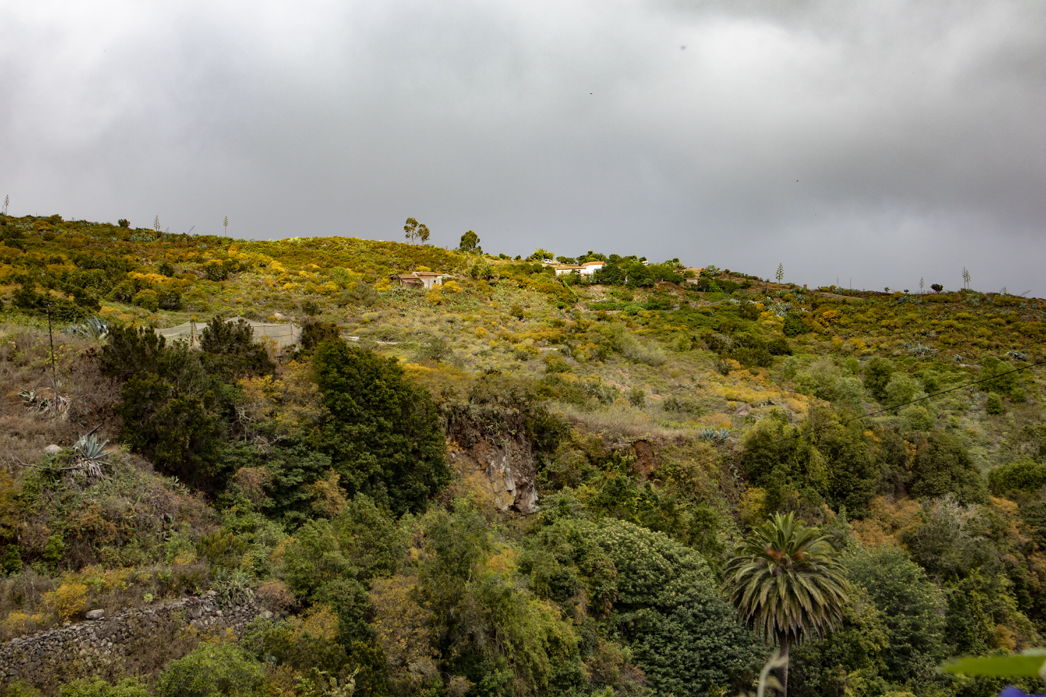 Grüne Schlucht bei Tierra del Trigo