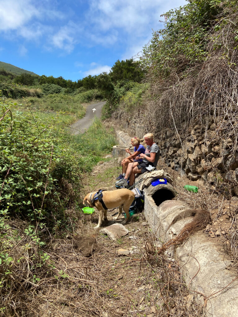 Resting on the covered channel