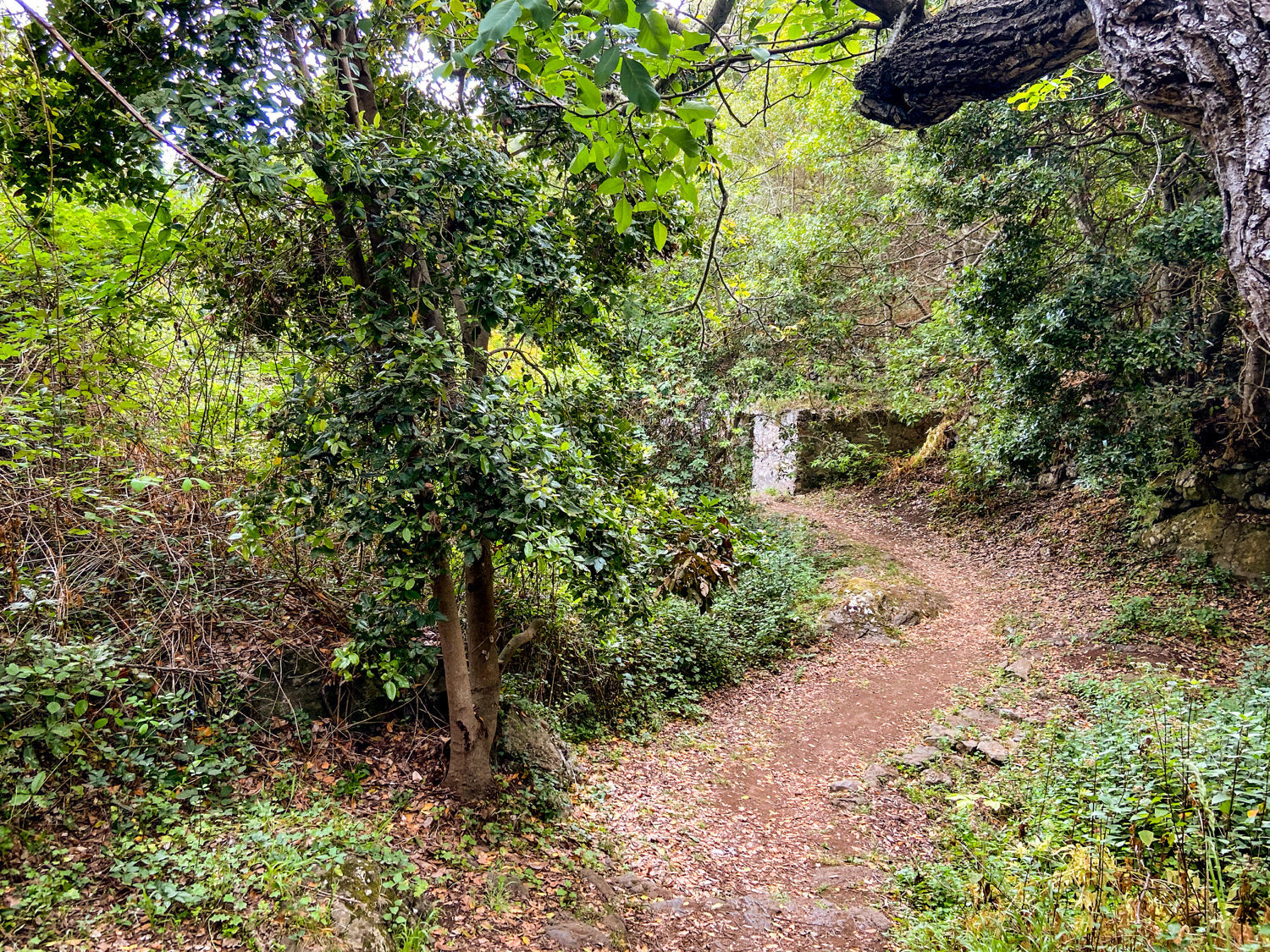 Wanderweg Cuevas Negras