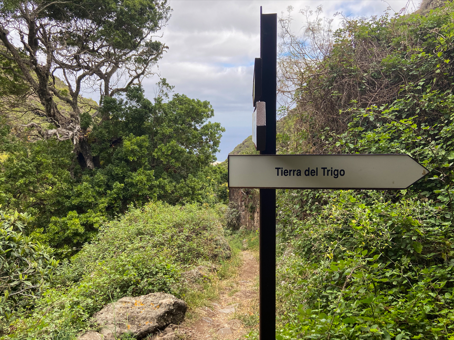 Abzweig bei Cuevas Negras nach Tierra del Trigo