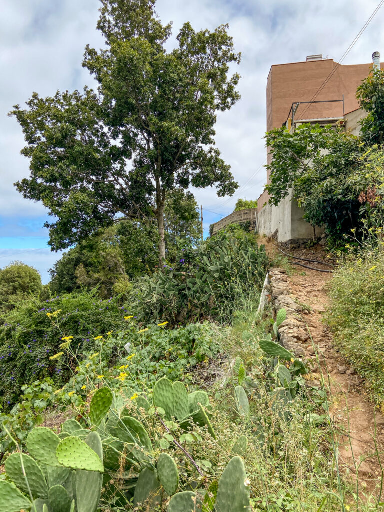 Hiking trail near Tierra del Trigo