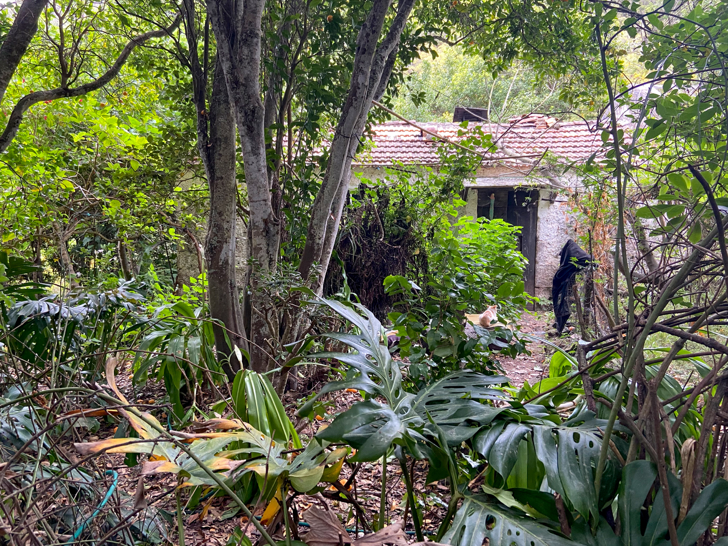 verlassene Häuser in Cuevas Negras