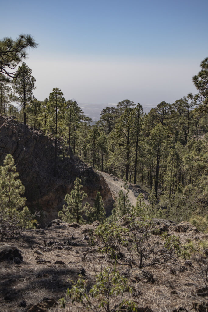 Forest path with views of the east coast of Tenerife