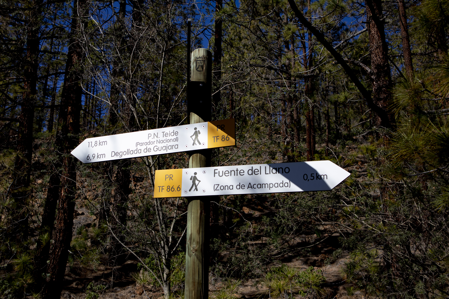 Querung zum Guajara und zum Teide Nationalpark