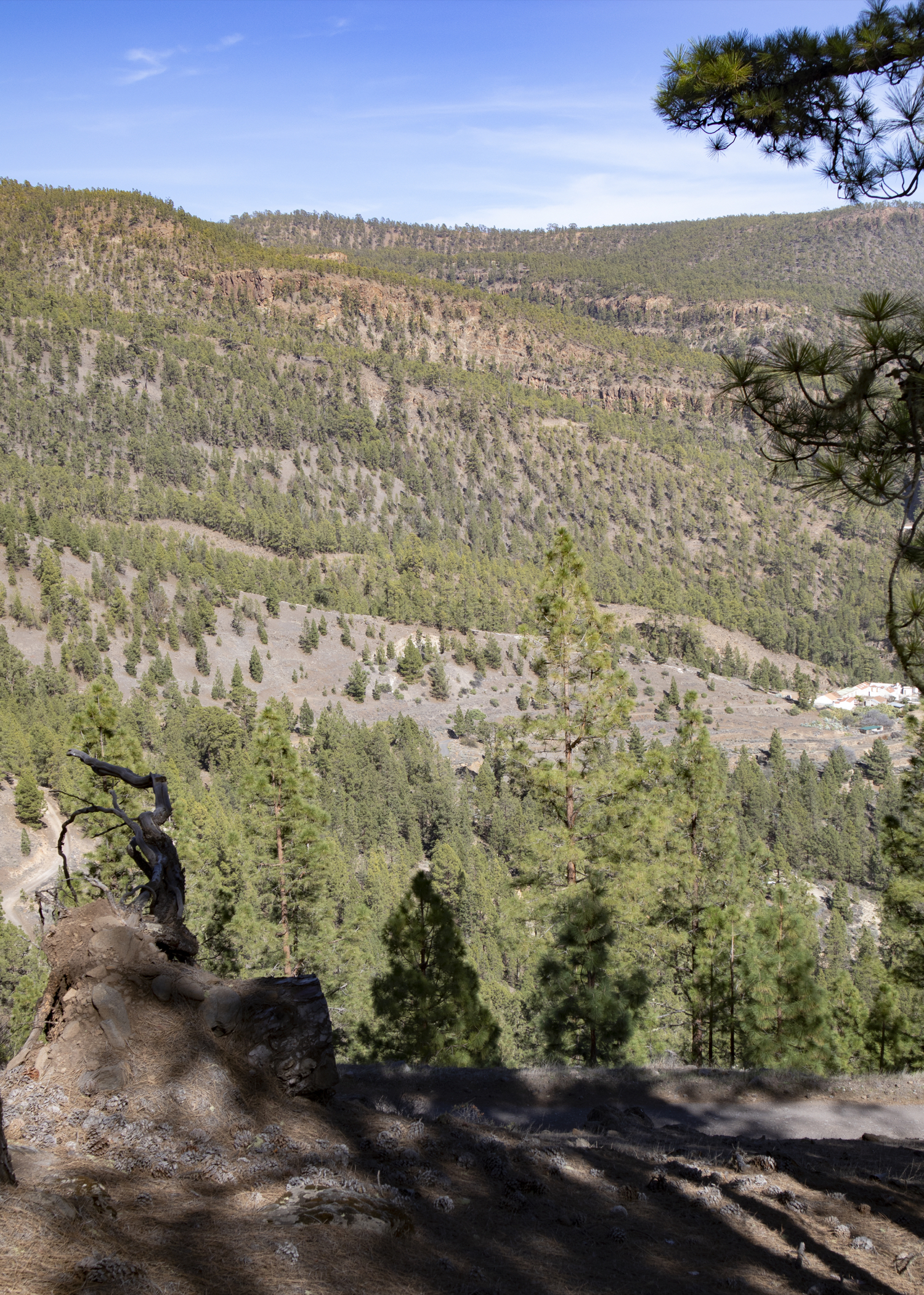 Blick auf die Osthänge der Cañadas