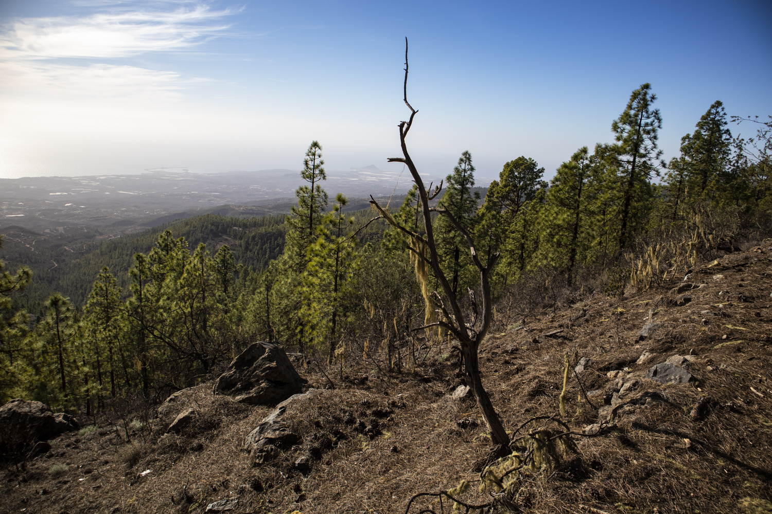 Blick auf die Ost- und Südküste von Teneriffa