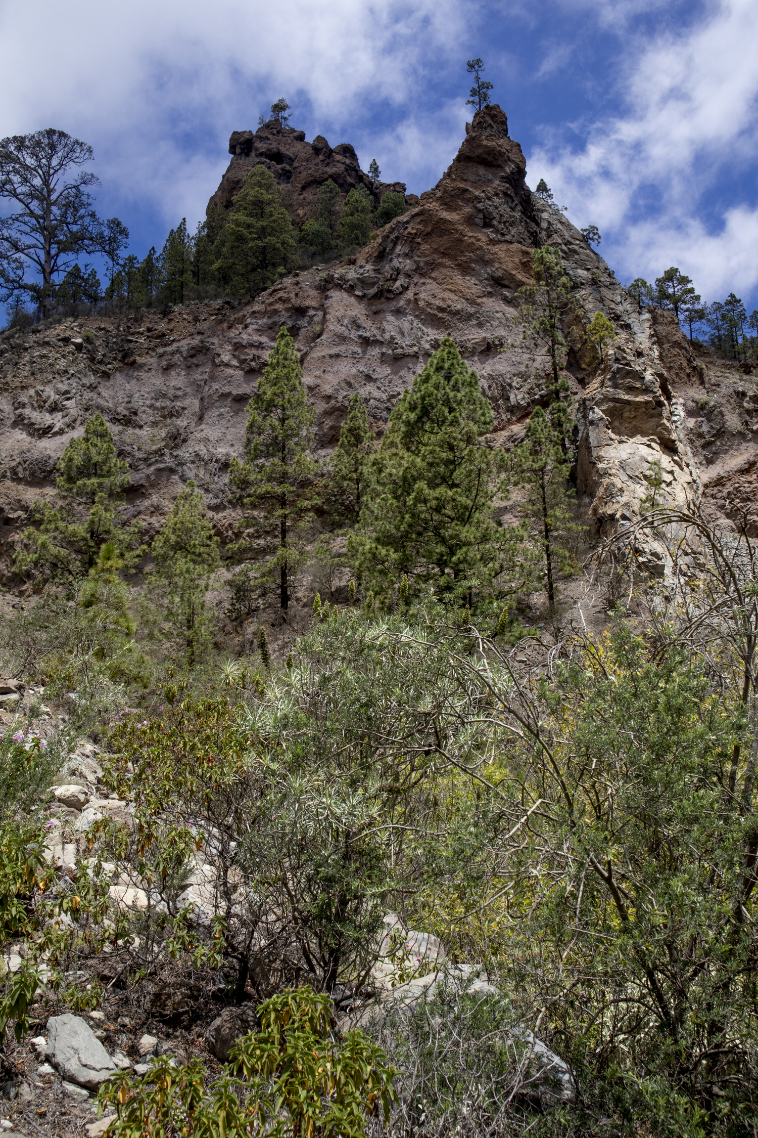 Barranco del Río - hohe Felswände begrenzen die Schlucht