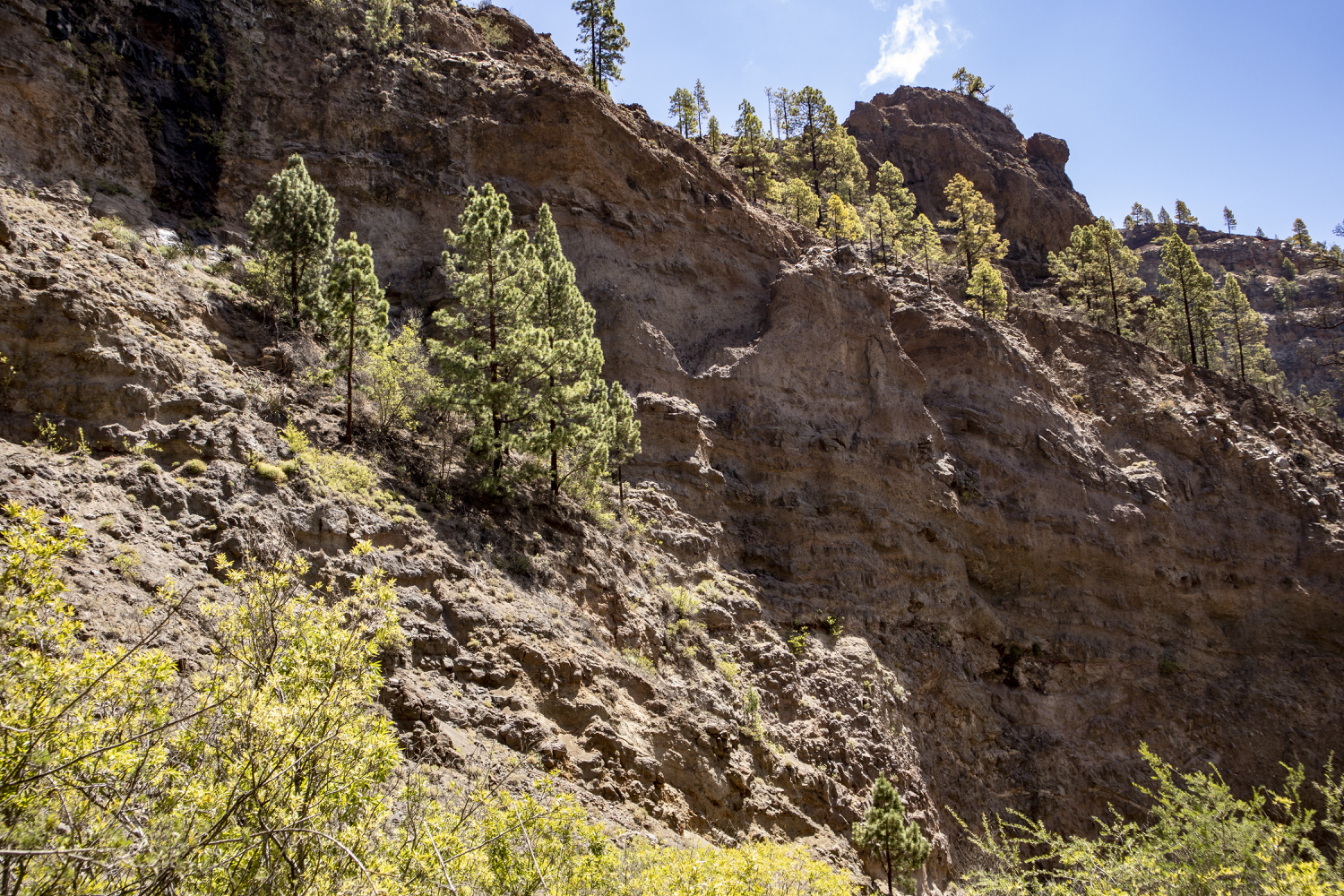 Barranco del Río - Felswände, Kiefern und viel Gestein