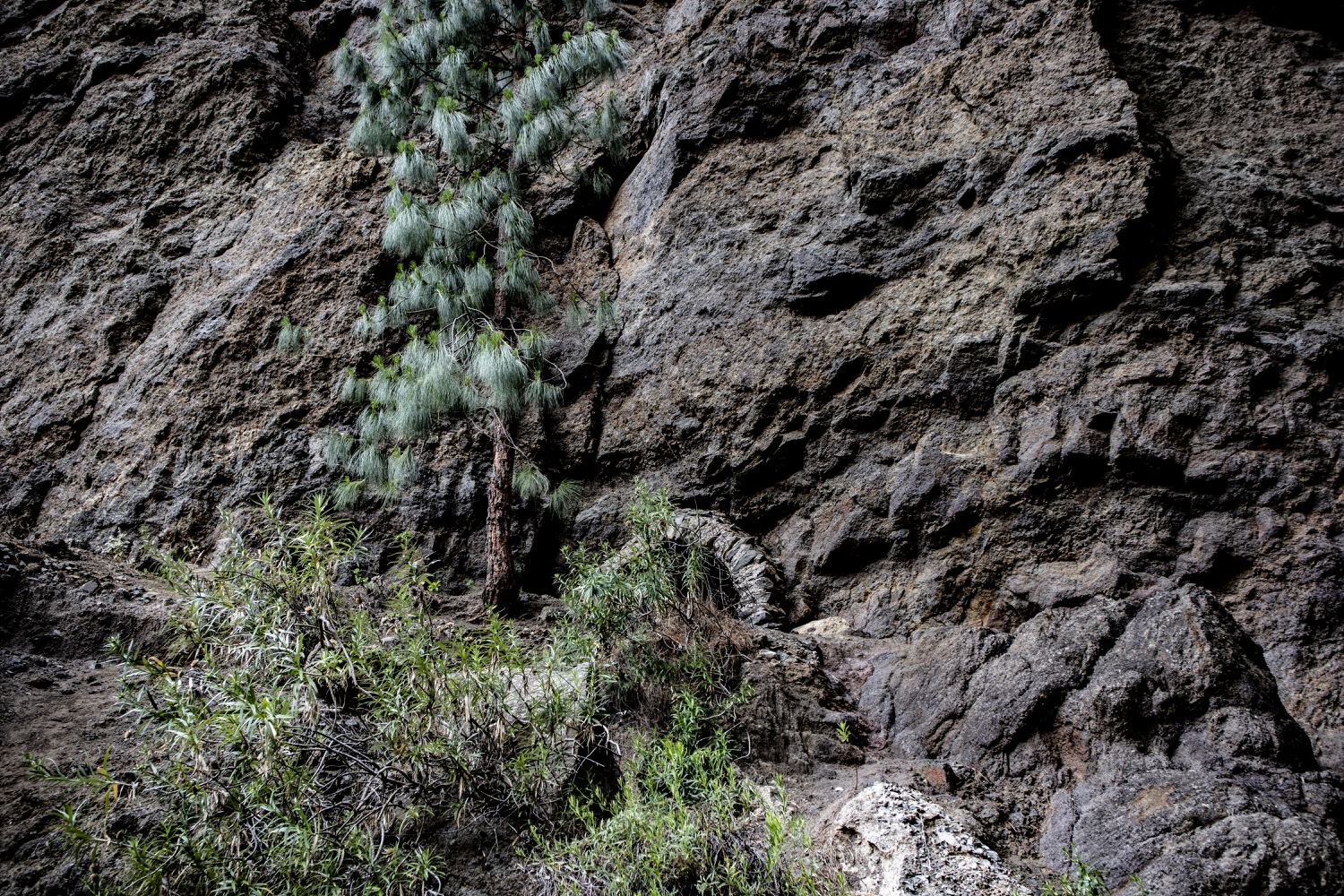 Barranco del Río