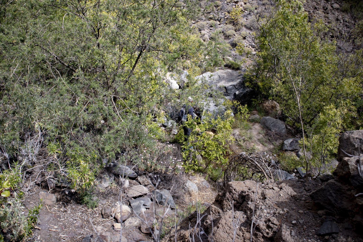 Barranco del Río - Seitental