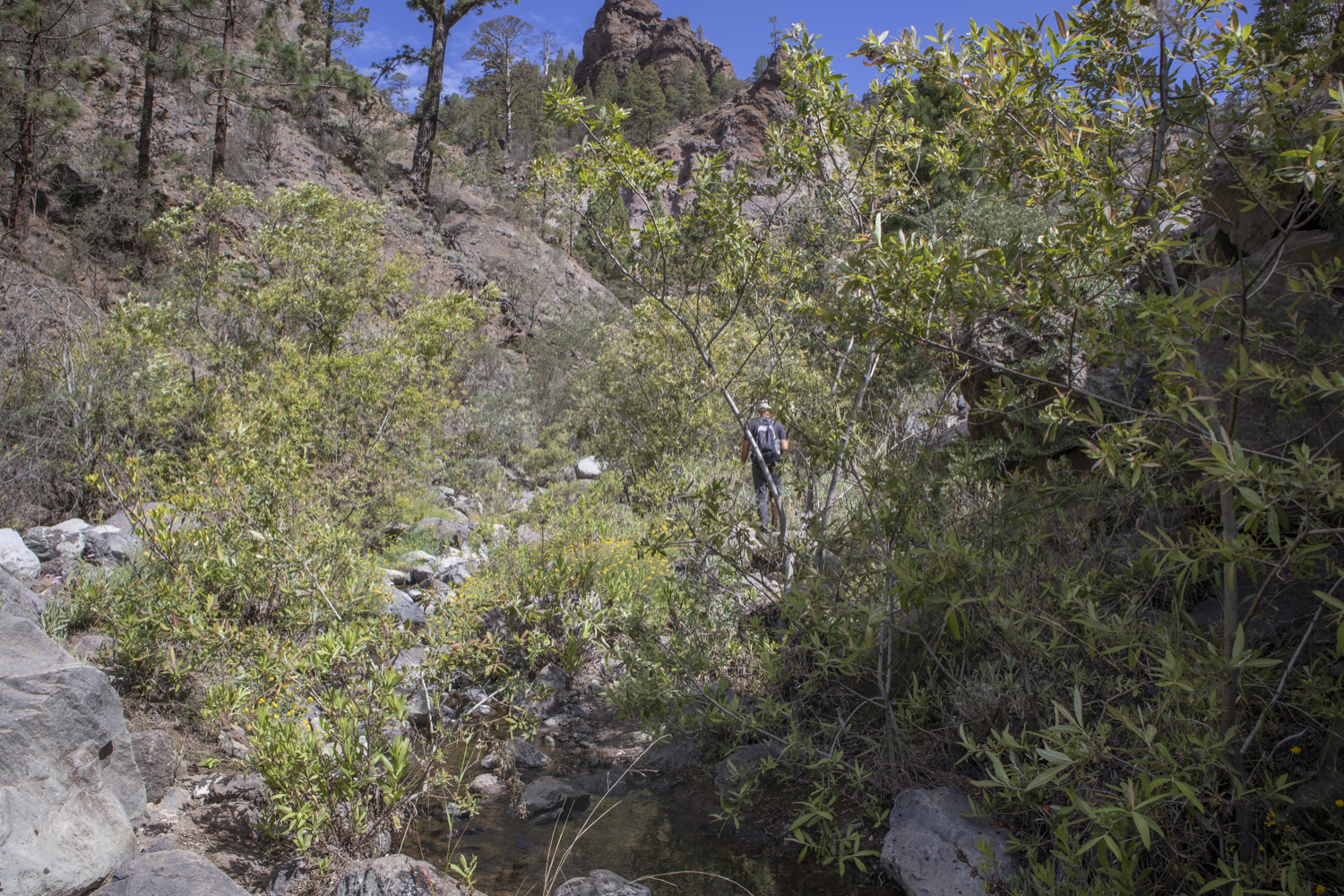 Barranco del Río - Wanderweg