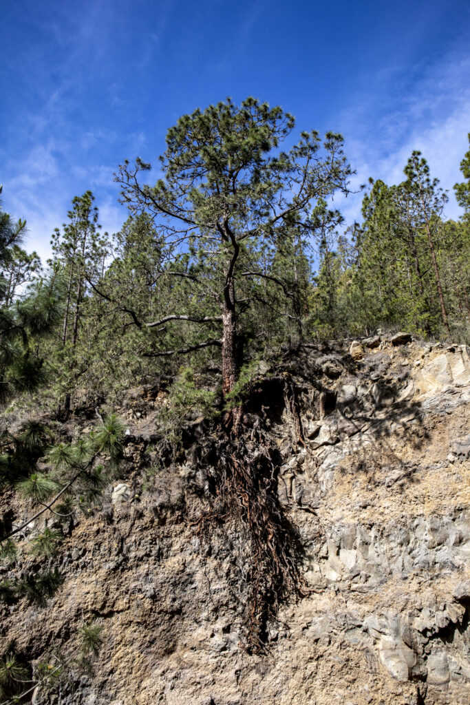 Barranco del Río