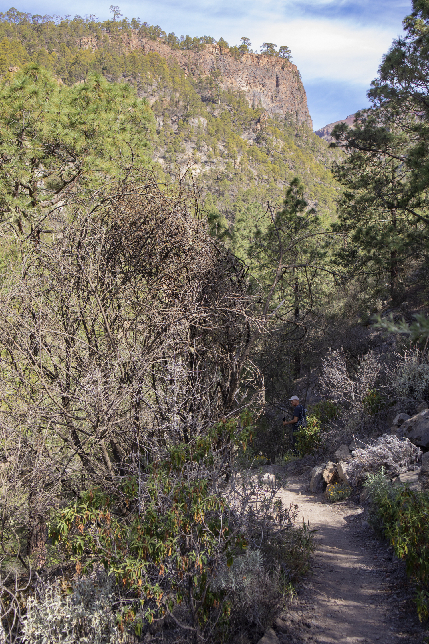 Weg hinunter in den Barranco del Río