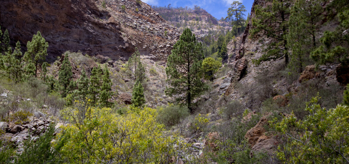 Barranco del Río - ein Seitental