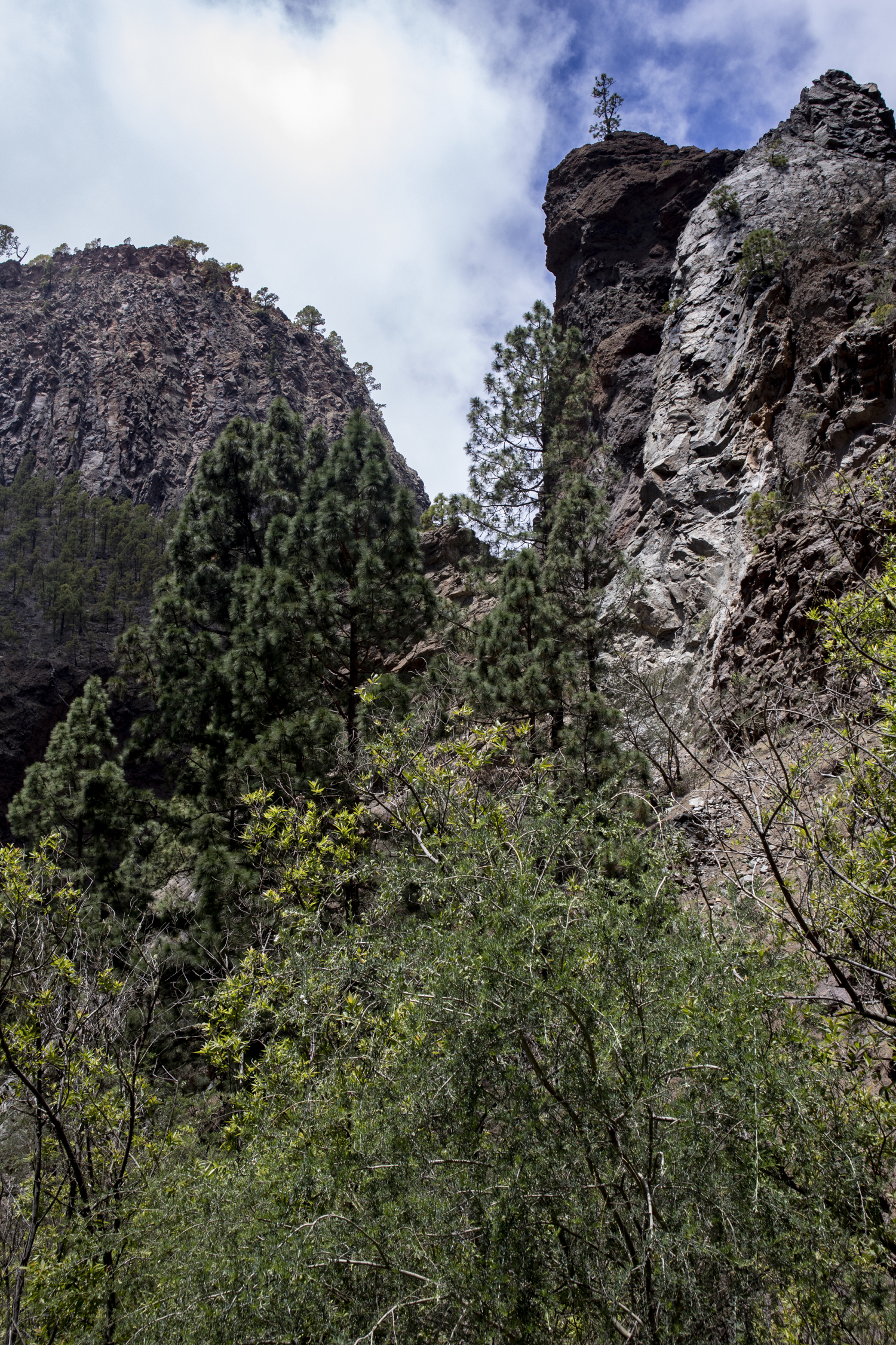 Barranco del Río - schroffe Felsen