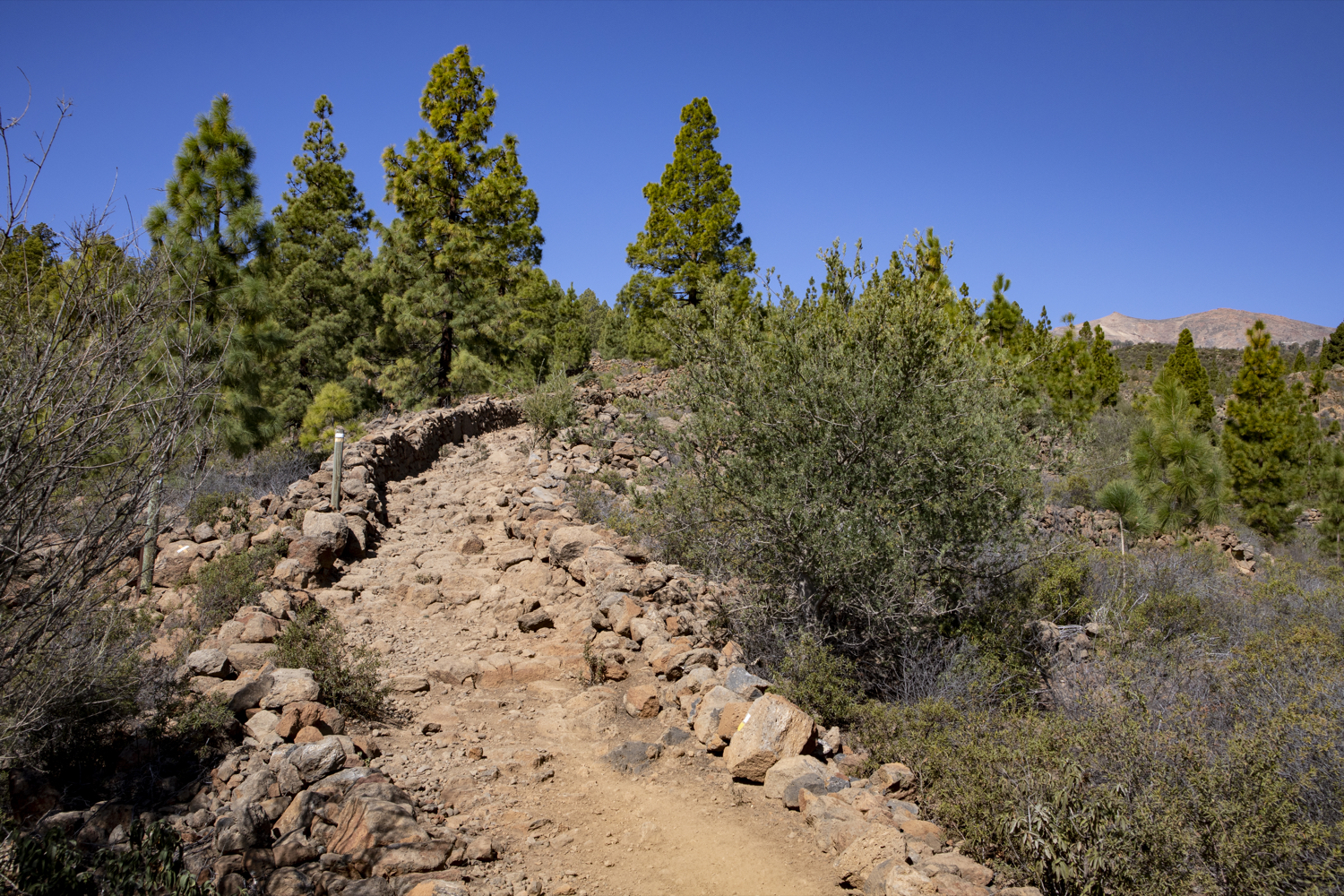 Wanderweg bei La Higuera