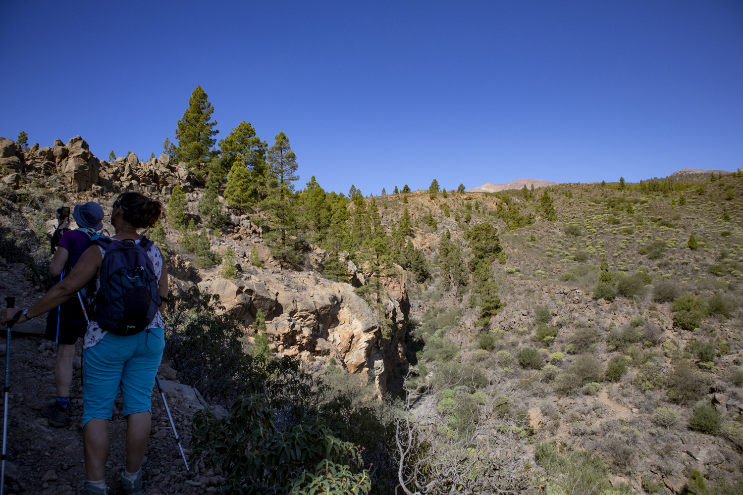 Wanderpfad am Barranco entlang