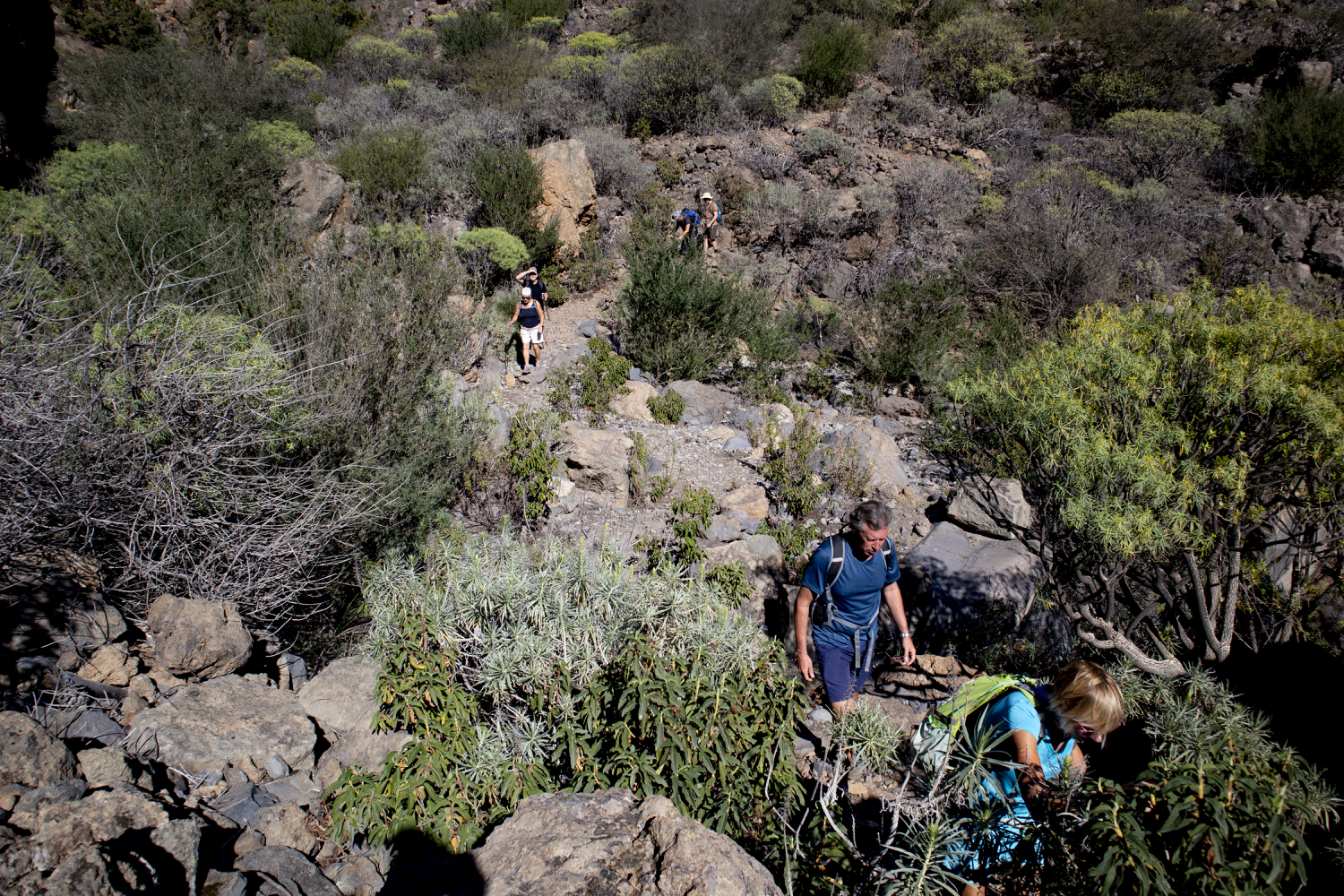 Barranco Querung - Barranco de las Fuentes