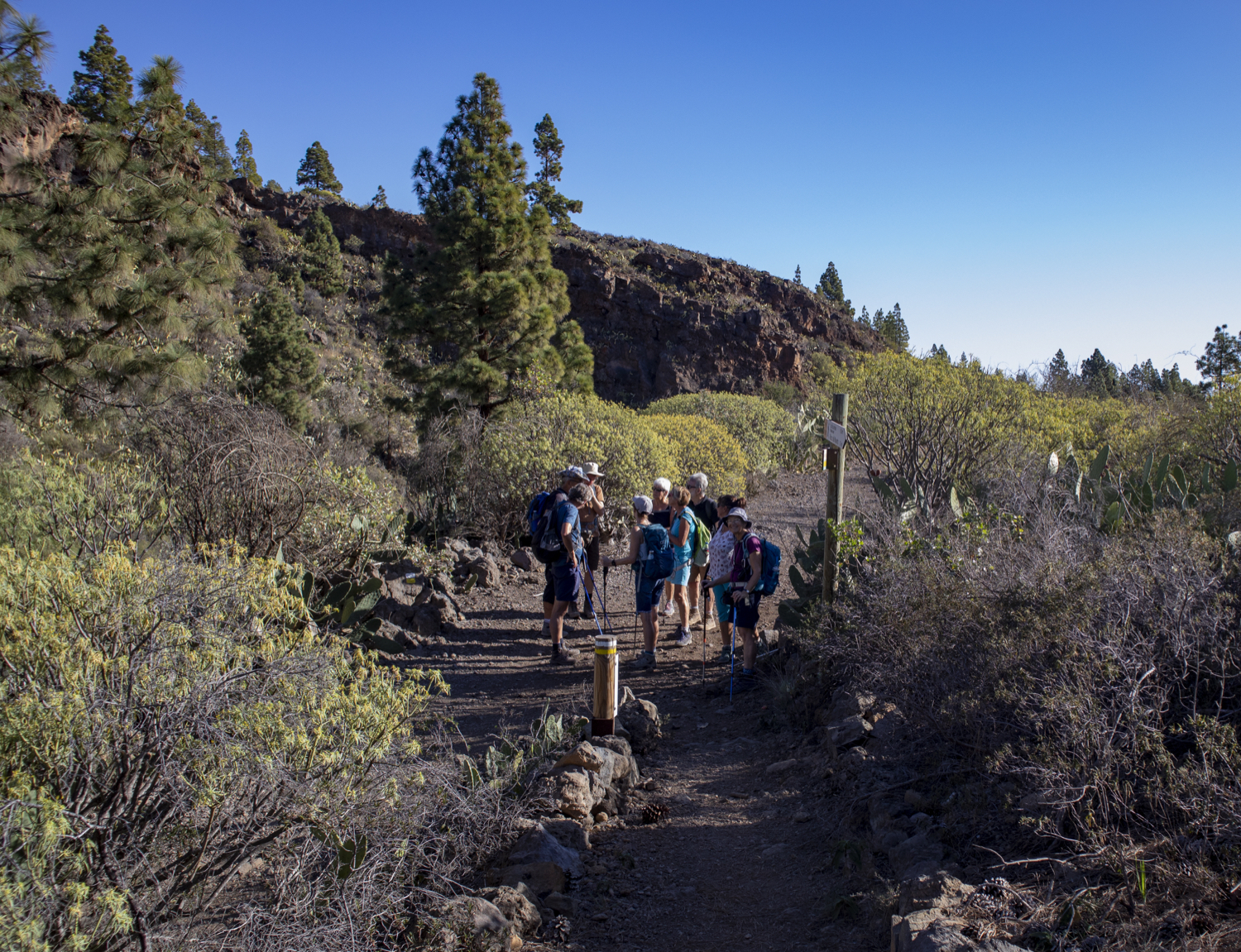 Wandergruppe auf dem Weg hinter La Higuera
