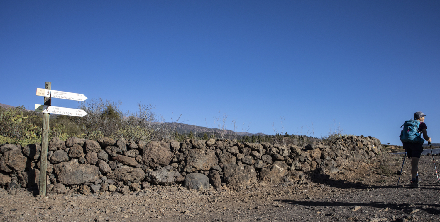 Wandern an den östlichen Hängen von Teneriffa