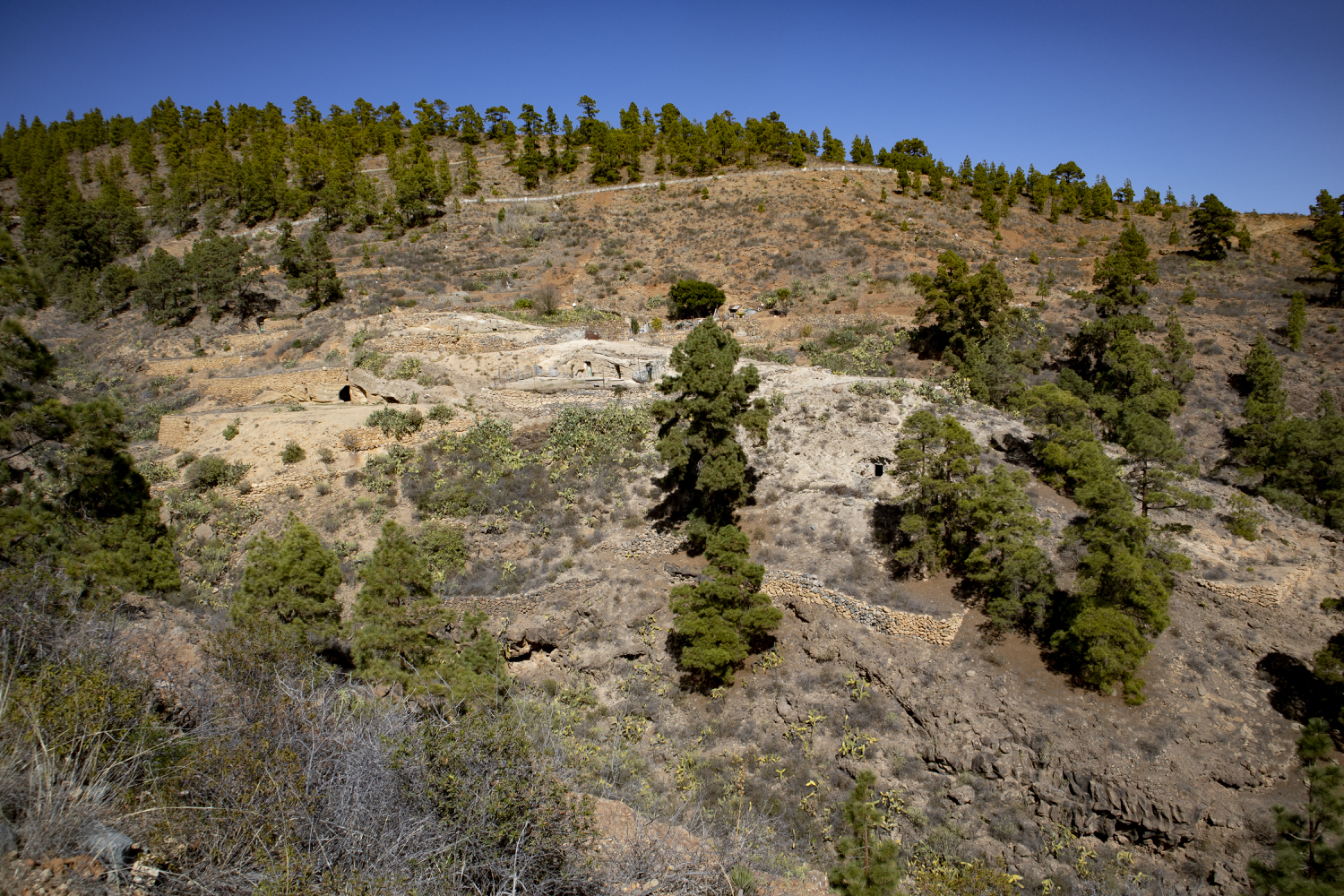 Sandstein und Kiefernwälder - der Osten von Teneriffa