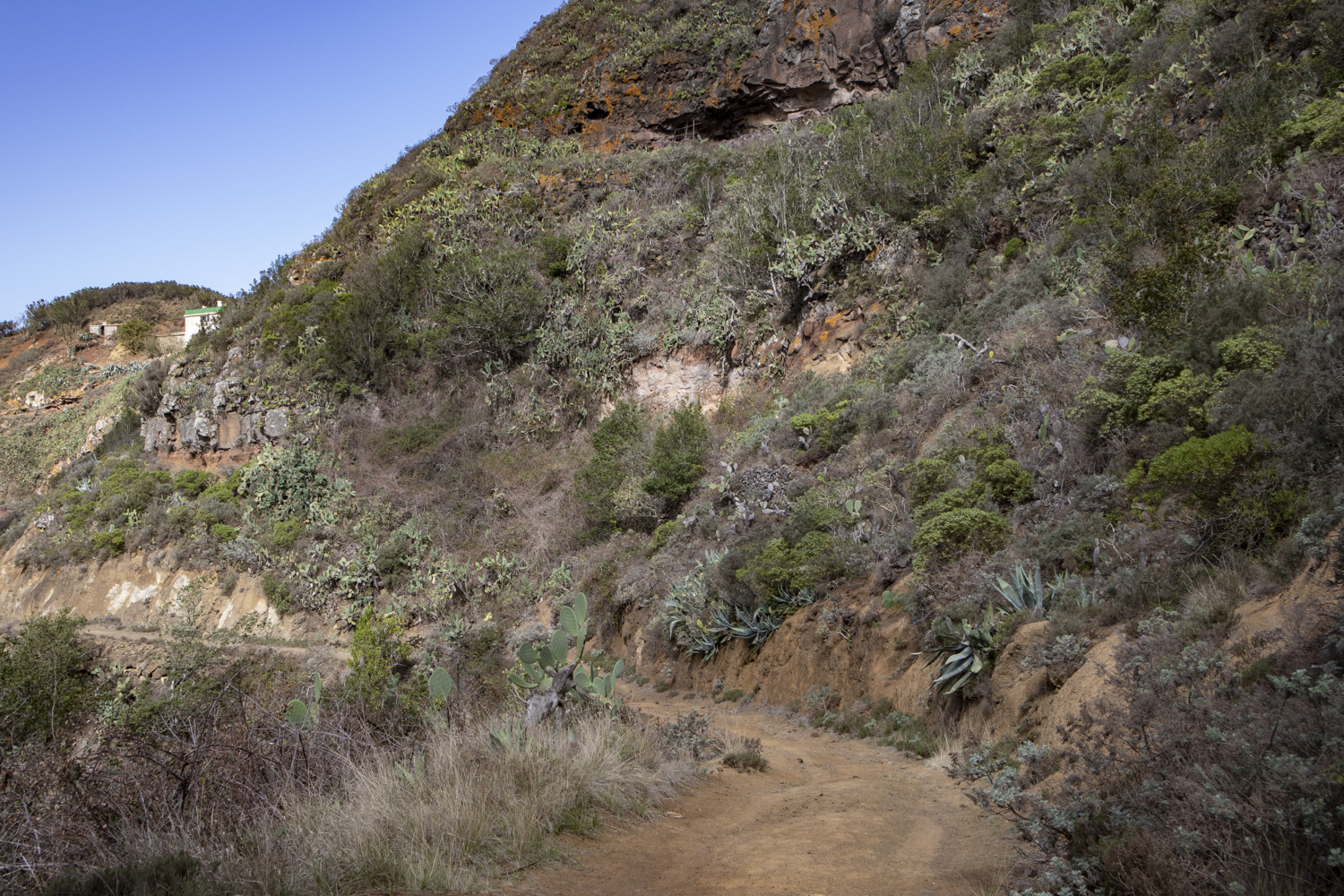 Weg unterhalb des Roque Moquinal
