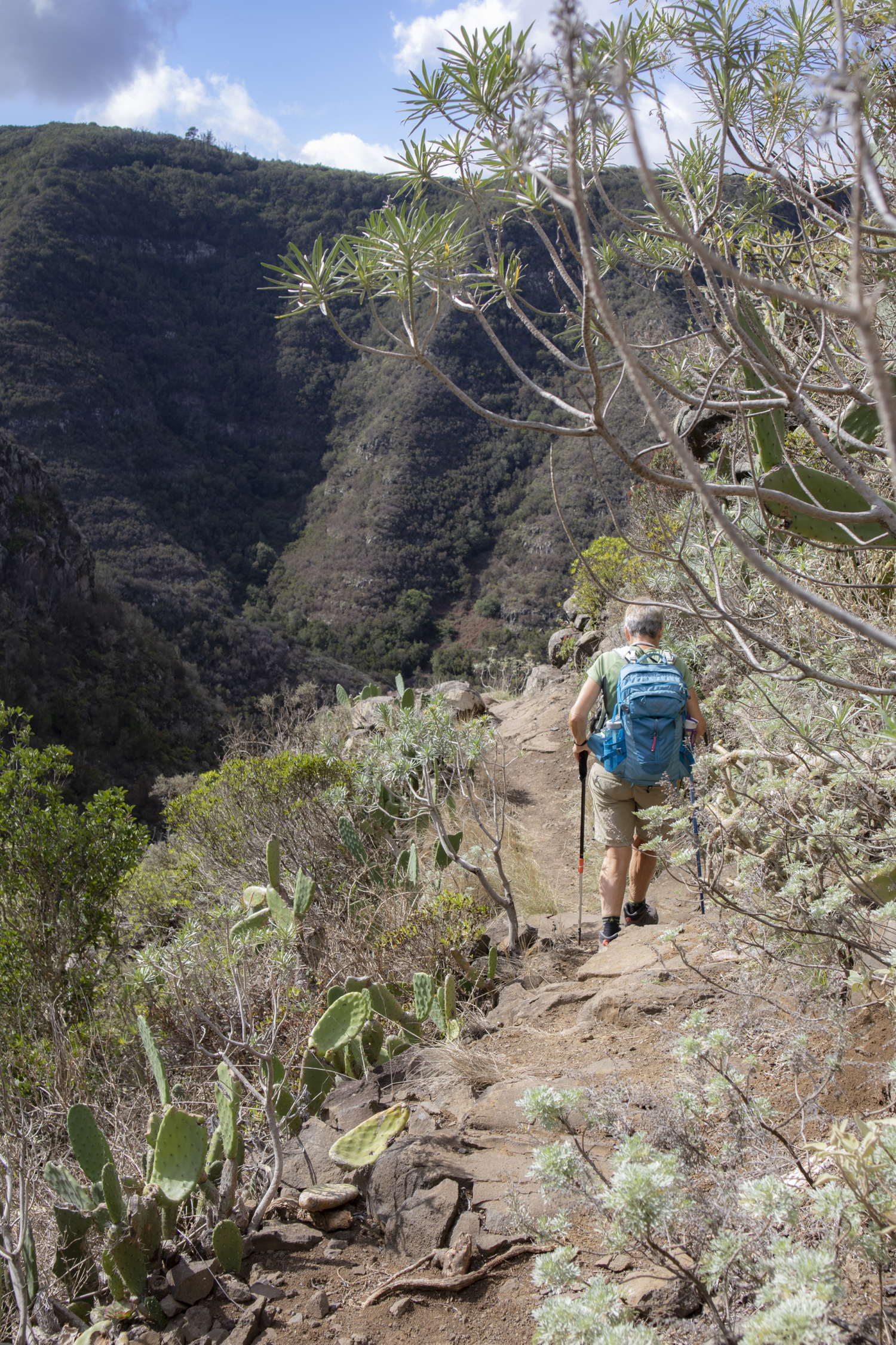 Abstiegsweg in den Barranco la Goleta