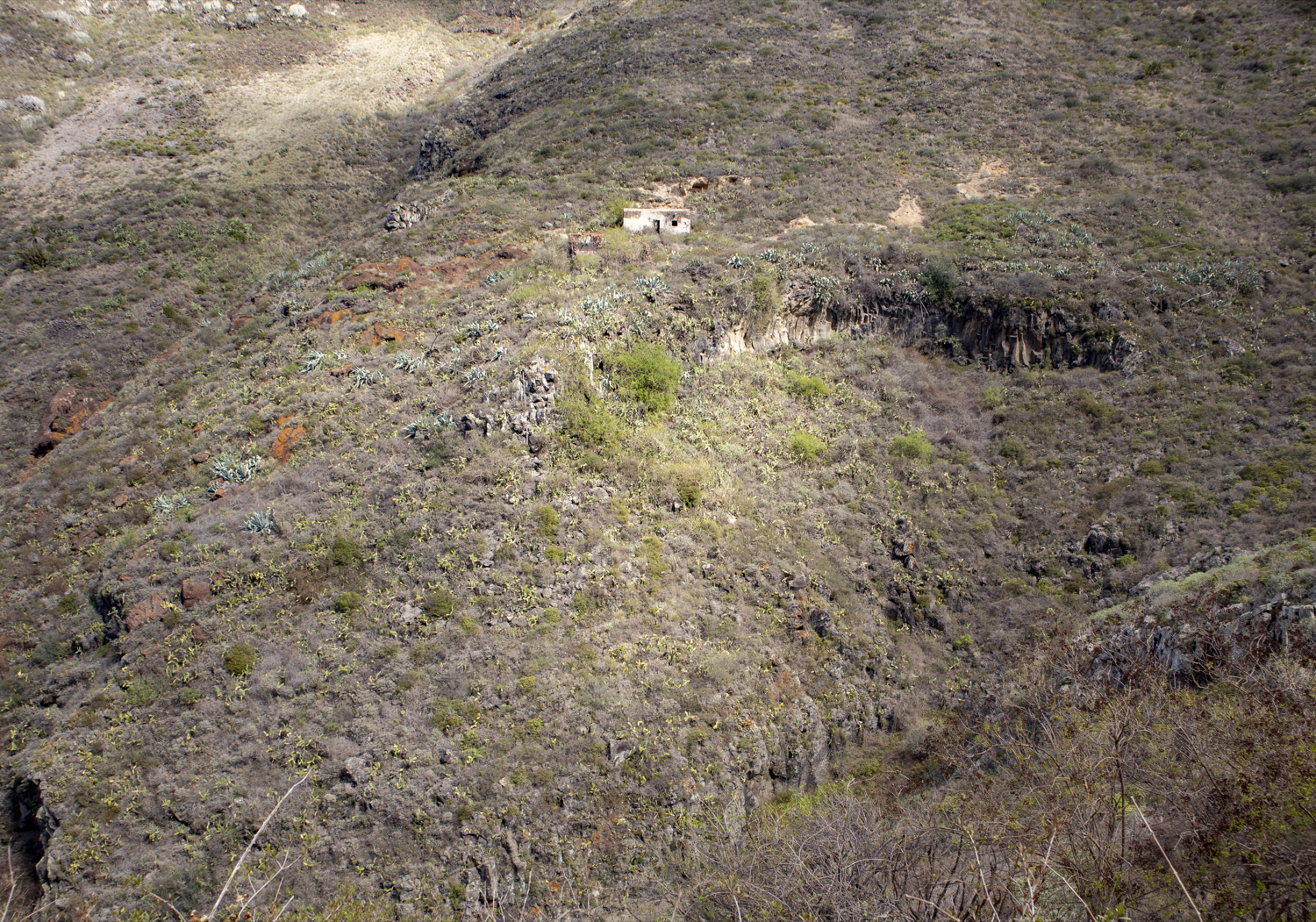 die Hänge des Barranco de la Goleta