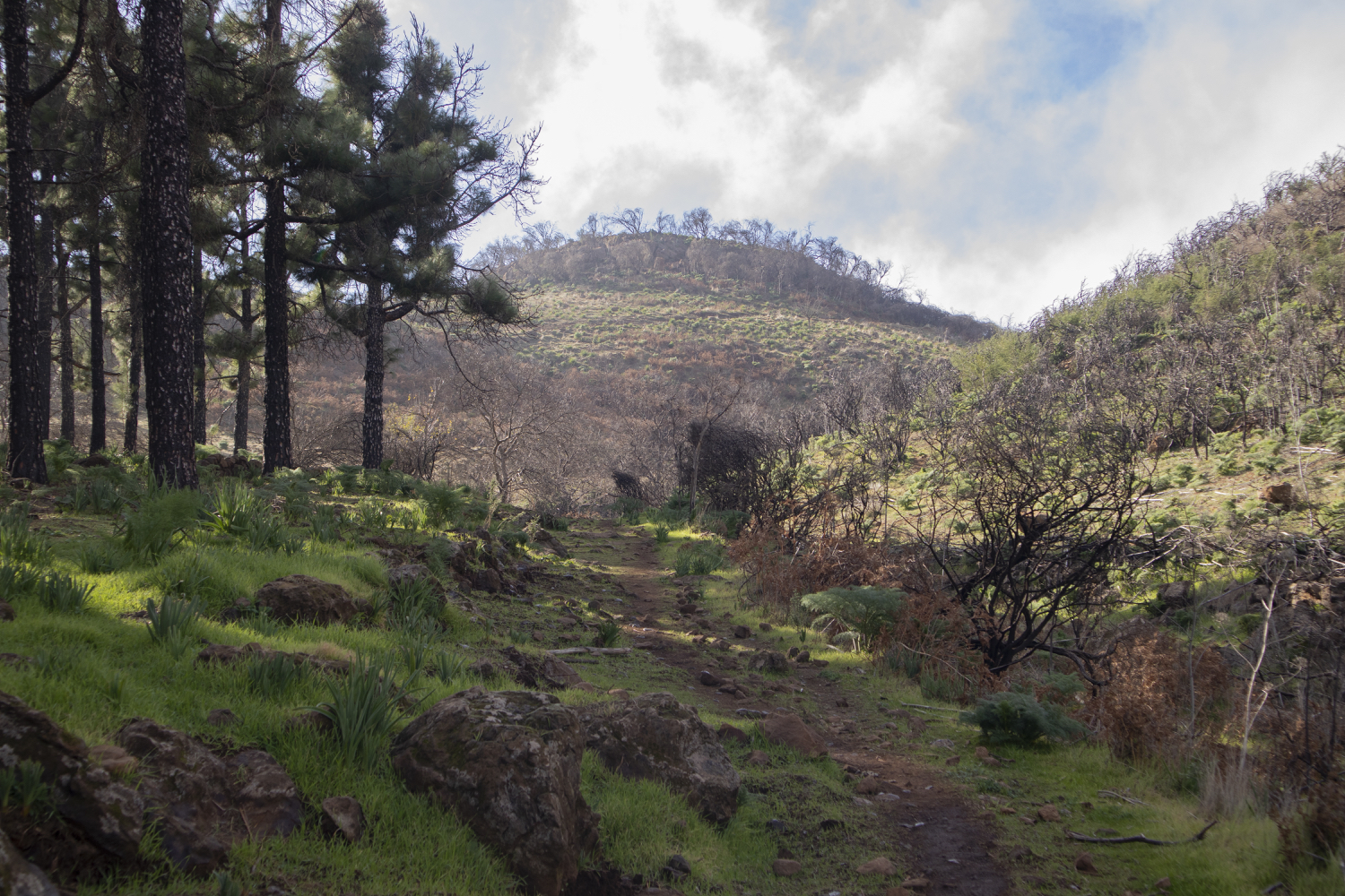 Wanderweg durch einen kleinen Barranco - Becerra