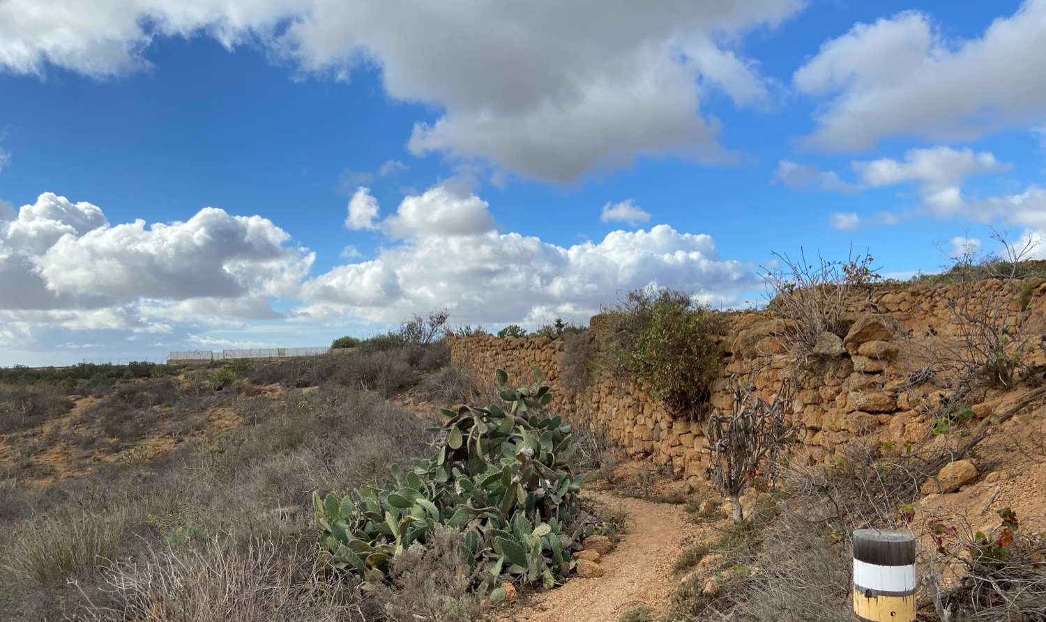 Wanderweg Arico Viejo